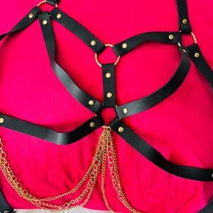 Black gold adjustable body harness size 10-12